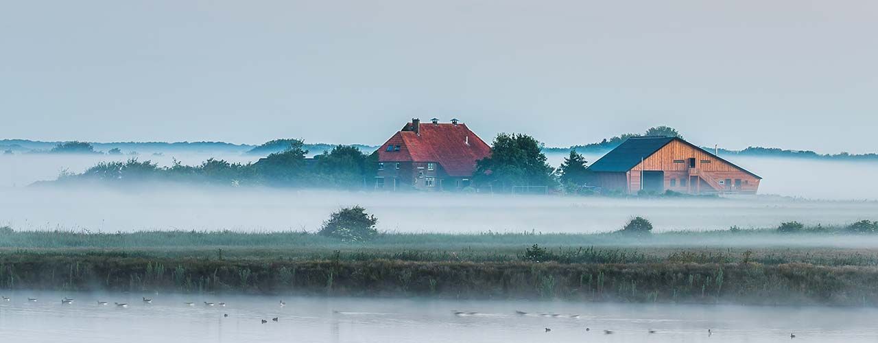 Zoek & Boek Image